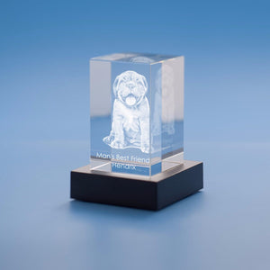 Personalized Custom Photo engraved Crystal - Crystal Rectangle For Valentine's Day, Memorial Day. A Great Gift to Treasure.