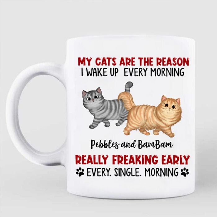 Reason I Wake Up Early Walking Fluffy Cats Personalized Mug