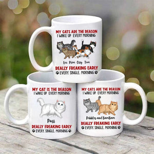 Reason I Wake Up Early Walking Fluffy Cats Personalized Mug